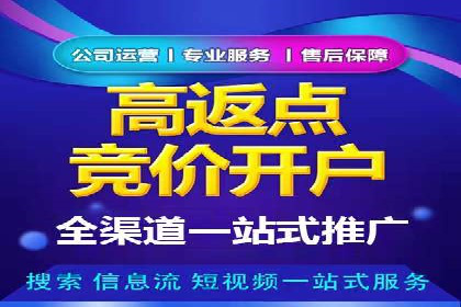 某公司网站sem托管项目纪实